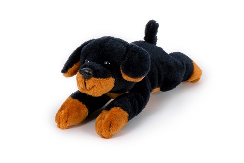 Mini rottweiler liegend - mini,