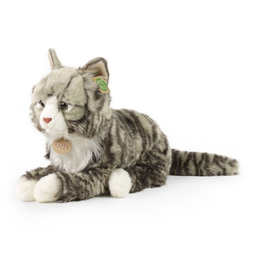 Norweger katze grau liegend - katze, h=