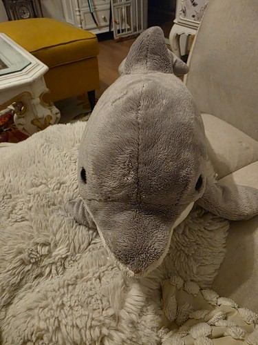 Heunec softissimo delphin - softissimo,