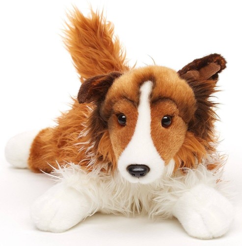 Süßer langhaarcollie - süßer,