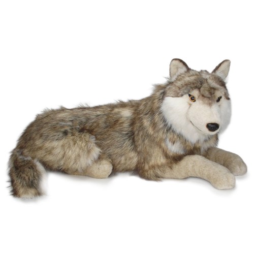 Wolf wolfshund hund - wolfshund,